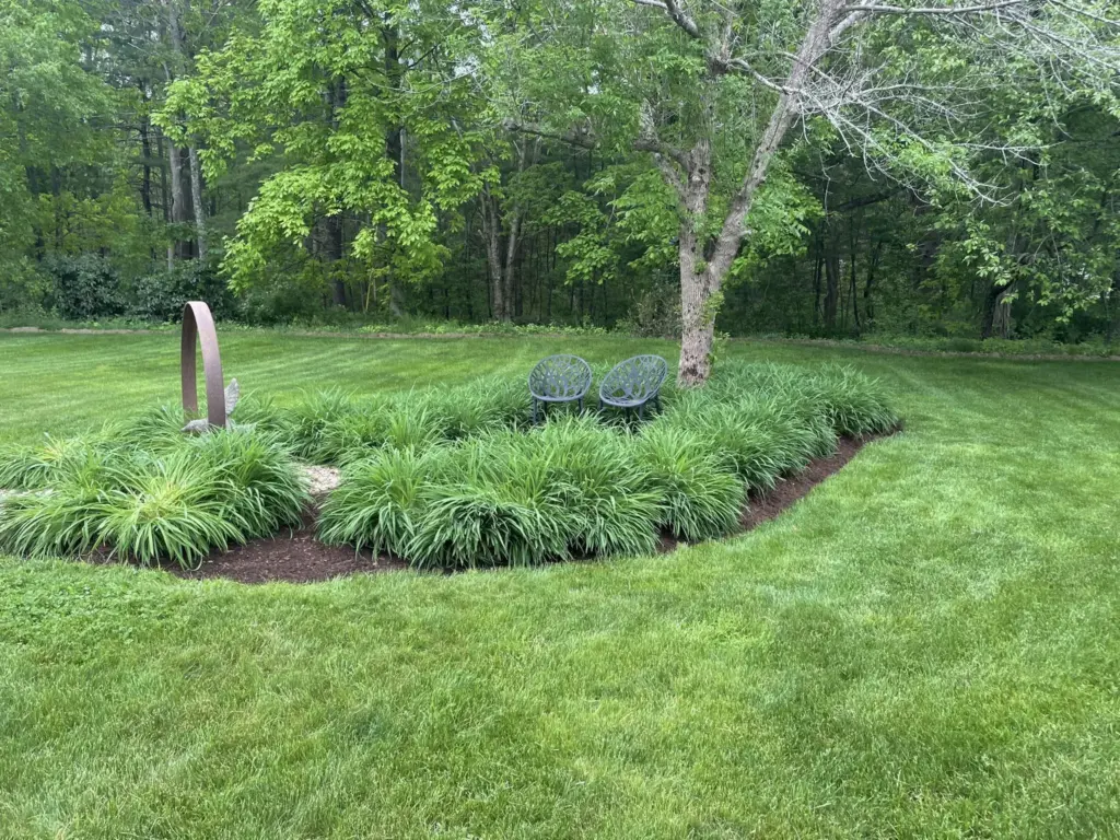 Backyard lawn with naturalized planting bed, mature trees, and mixed shrubs.