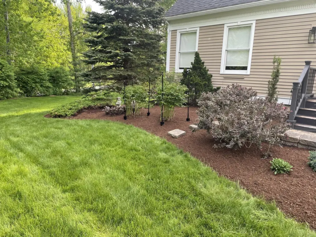 Front foundation planting with evergreens, mulch, and a neatly mowed lawn.